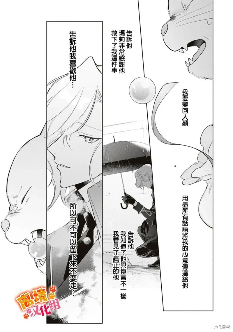 軟弱千金變笨貓、被最可怕的軍人公爵撿到命不久矣,第10話,第14张