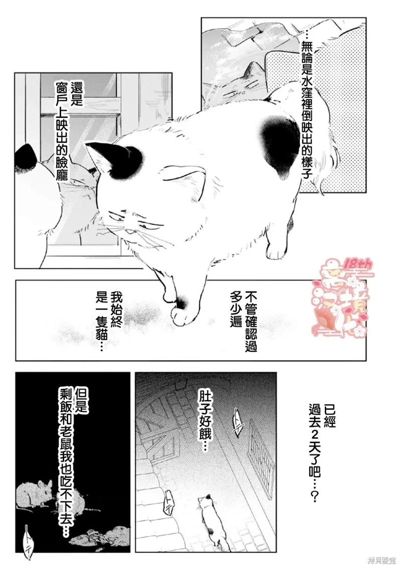 軟弱千金變笨貓、被最可怕的軍人公爵撿到命不久矣,第03話,第18张