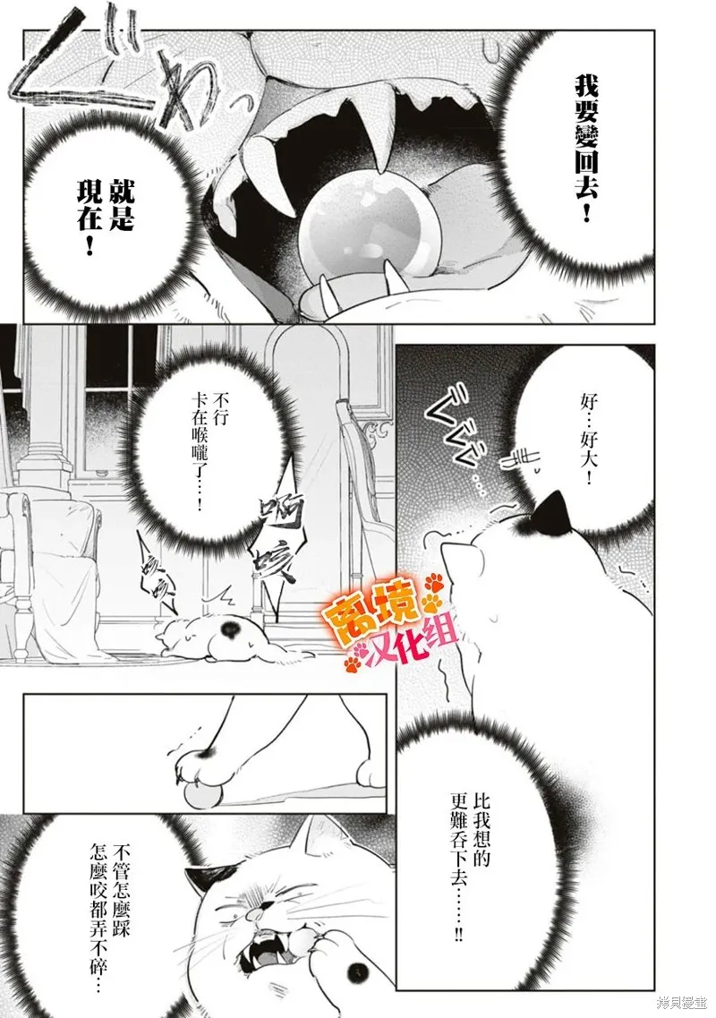 軟弱千金變笨貓、被最可怕的軍人公爵撿到命不久矣,第09話,第29张