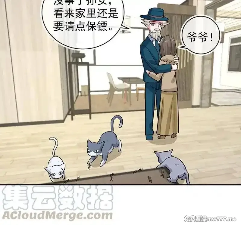 我的充电女友,抓虫还是要靠猫,第10张