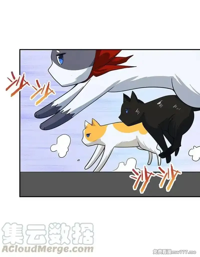 我的充电女友,抓虫还是要靠猫,第4张