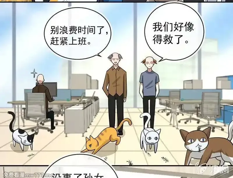 我的充电女友,抓虫还是要靠猫,第9张