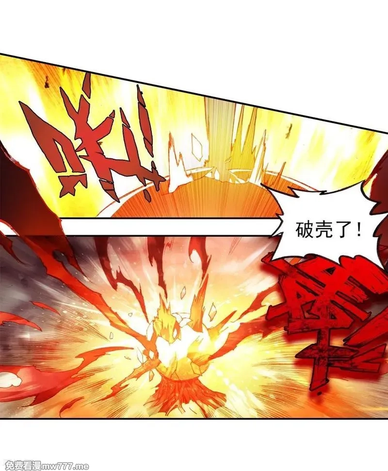 赤凰传奇,第78话 如果说凤凰升级需要的是火元素的话为什么不,第24张
