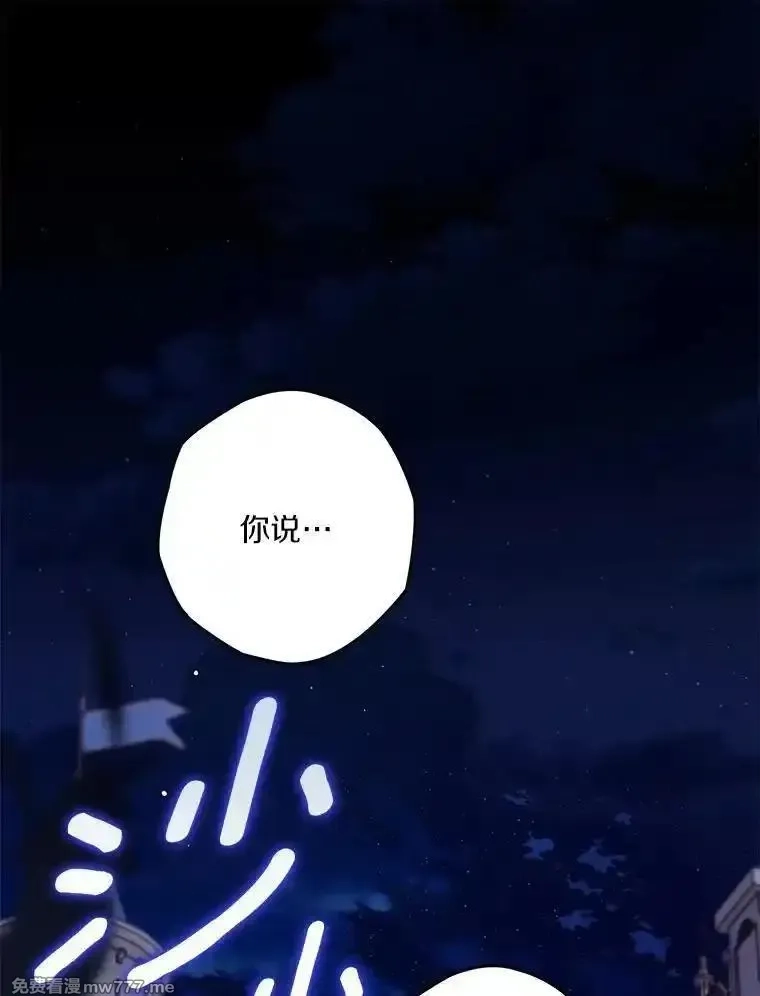 西格莉德,91.不要当真,第1张