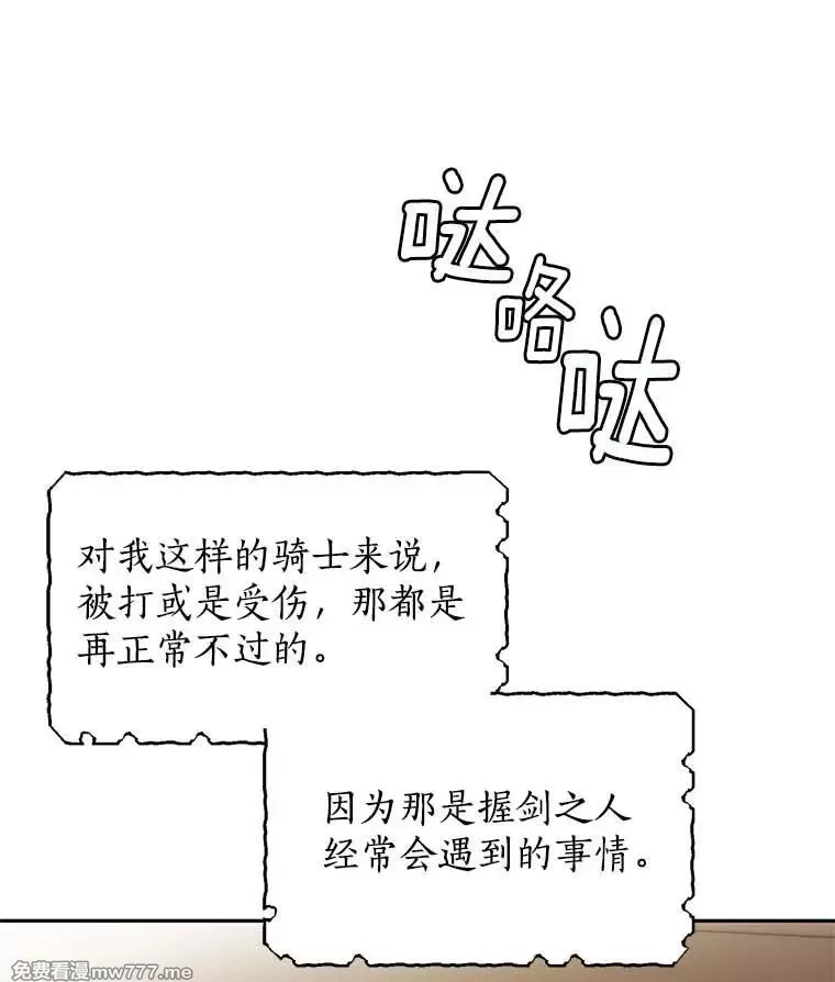 西格莉德,97.盾牌,第19张