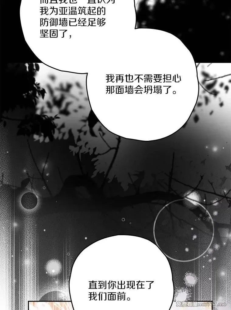 西格莉德,97.盾牌,第48张