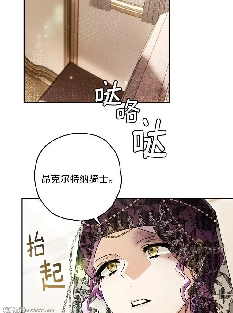 西格莉德,97.盾牌,第56张