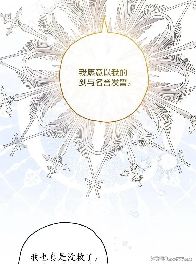 西格莉德,97.盾牌,第64张