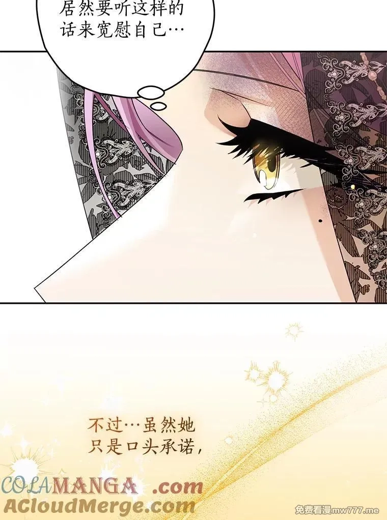 西格莉德,97.盾牌,第65张