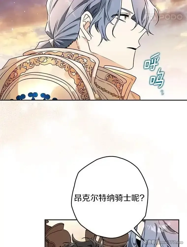 西格莉德,110.攻打城门,第24张