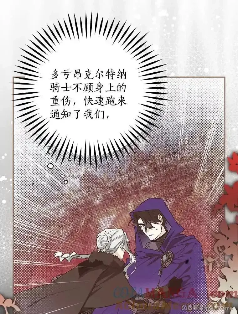 西格莉德,110.攻打城门,第29张