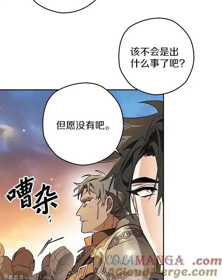 西格莉德,110.攻打城门,第41张