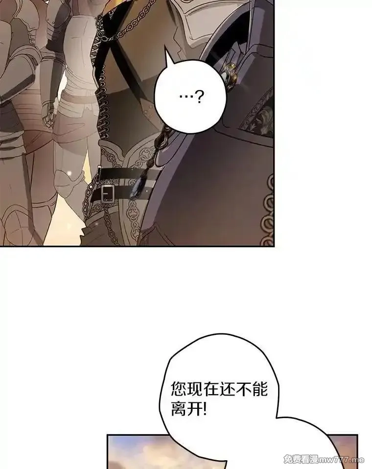 西格莉德,110.攻打城门,第42张