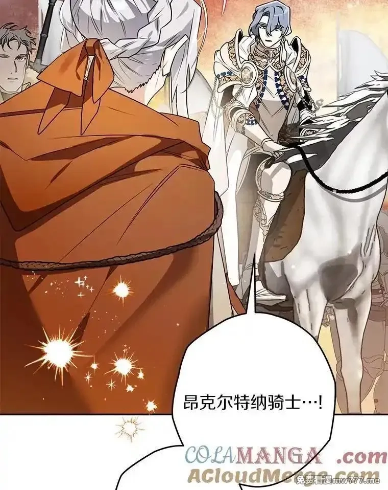 西格莉德,110.攻打城门,第45张