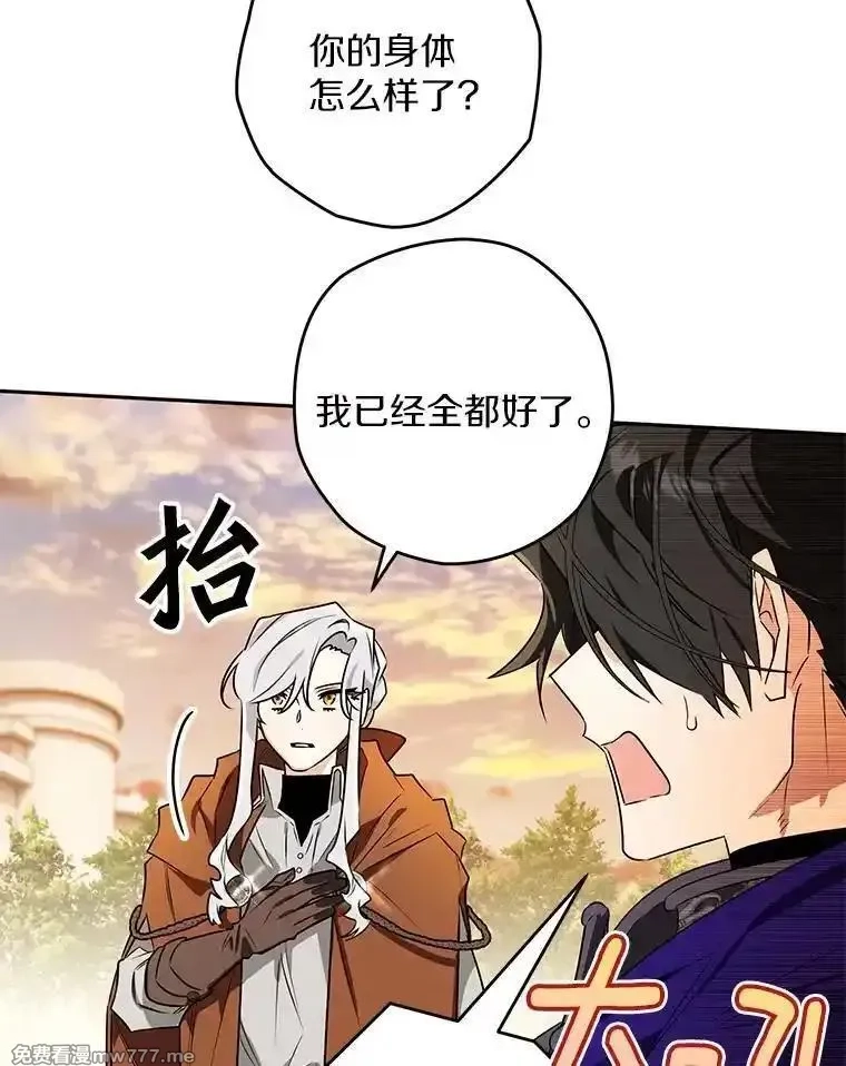 西格莉德,110.攻打城门,第46张