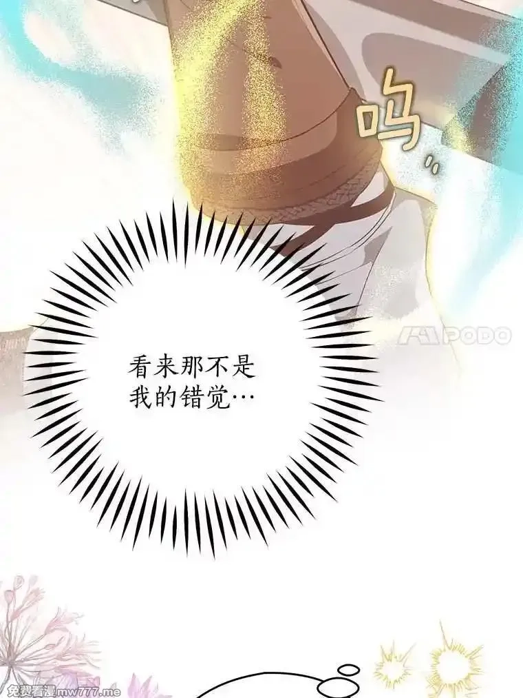 西格莉德,110.攻打城门,第63张