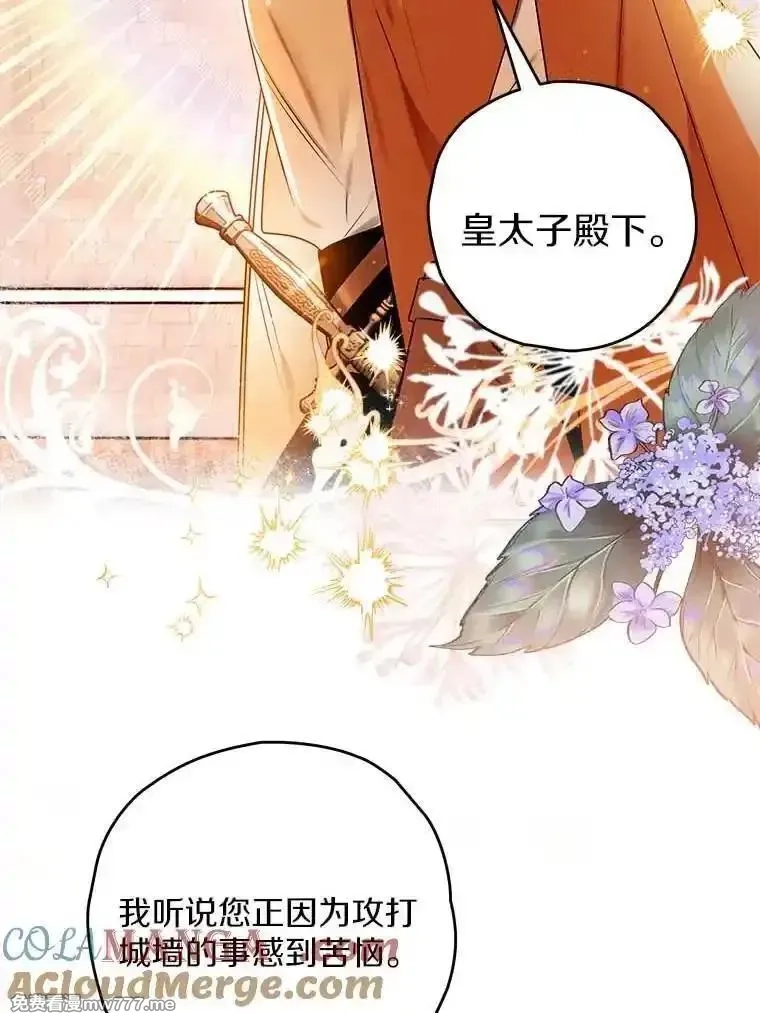 西格莉德,110.攻打城门,第65张