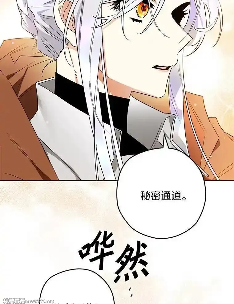 西格莉德,110.攻打城门,第74张