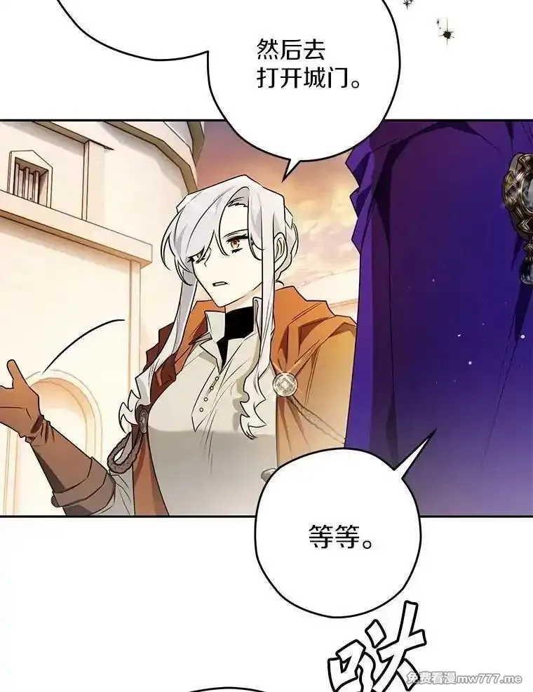 西格莉德,110.攻打城门,第80张