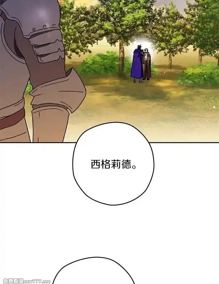 西格莉德,110.攻打城门,第90张