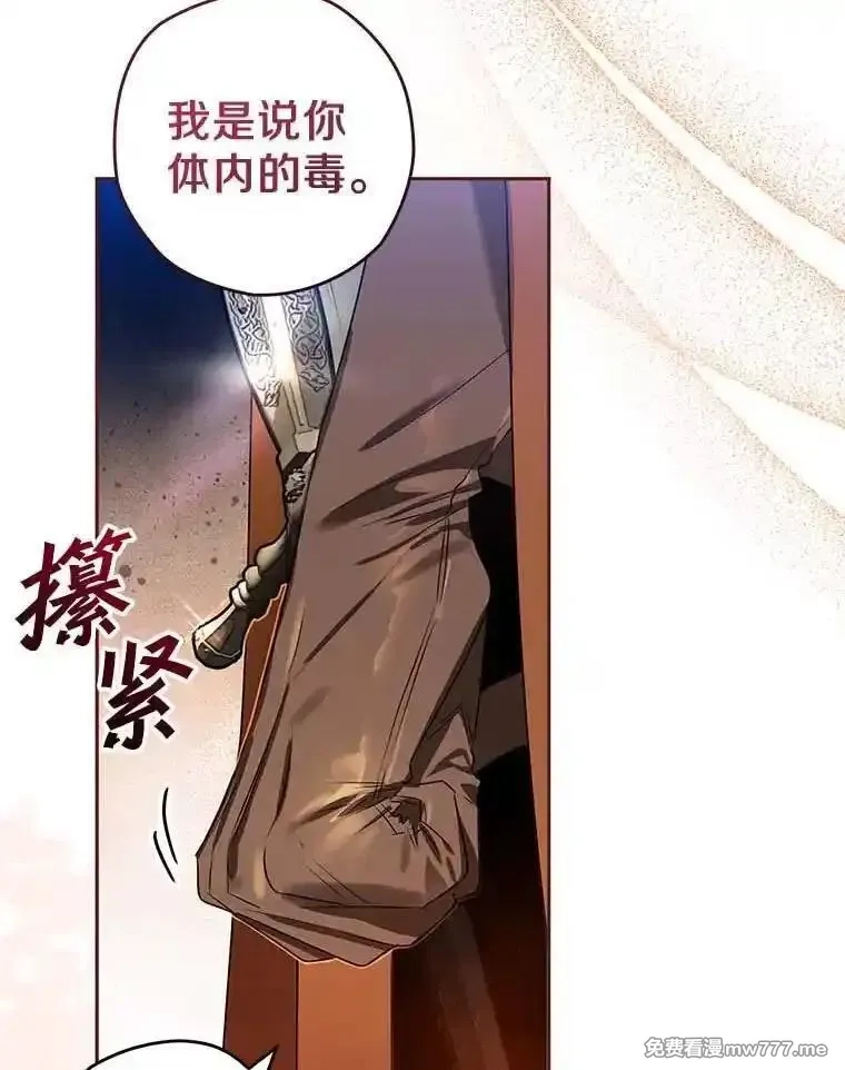西格莉德,110.攻打城门,第95张