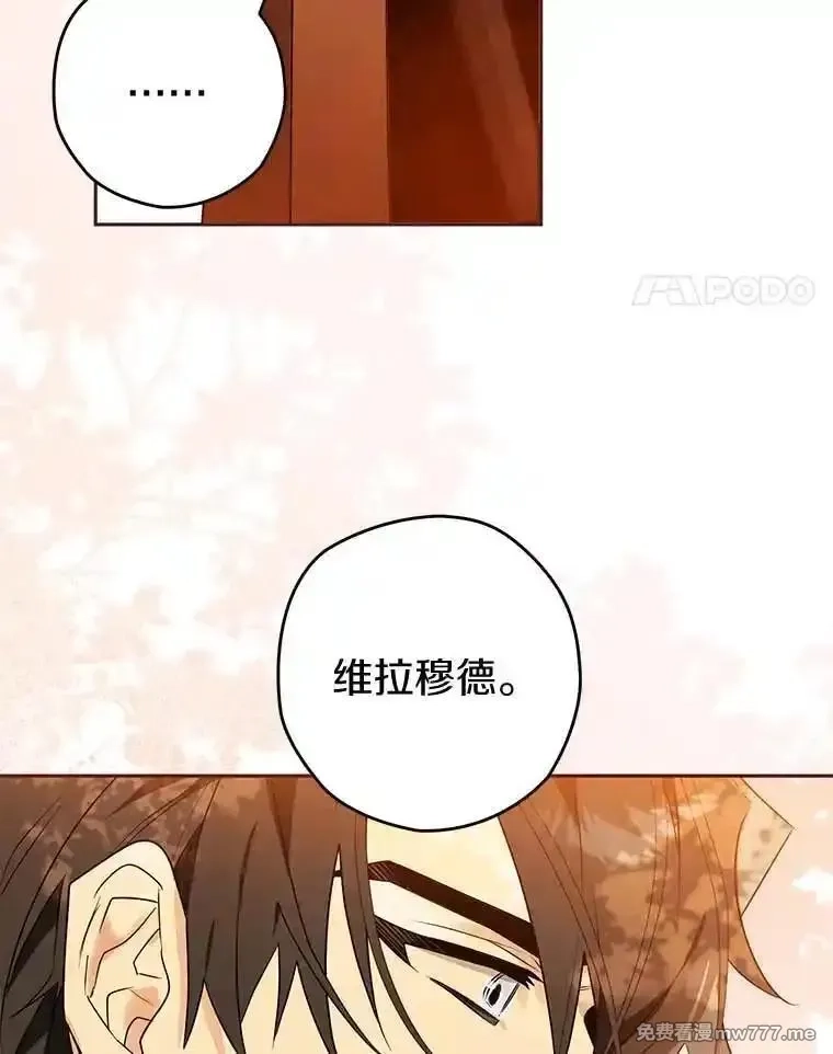 西格莉德,110.攻打城门,第96张
