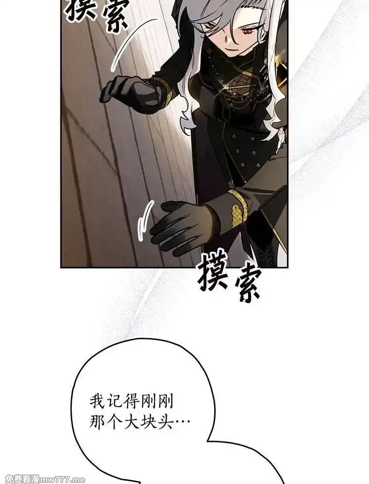 西格莉德,108.营救朋友,第35张