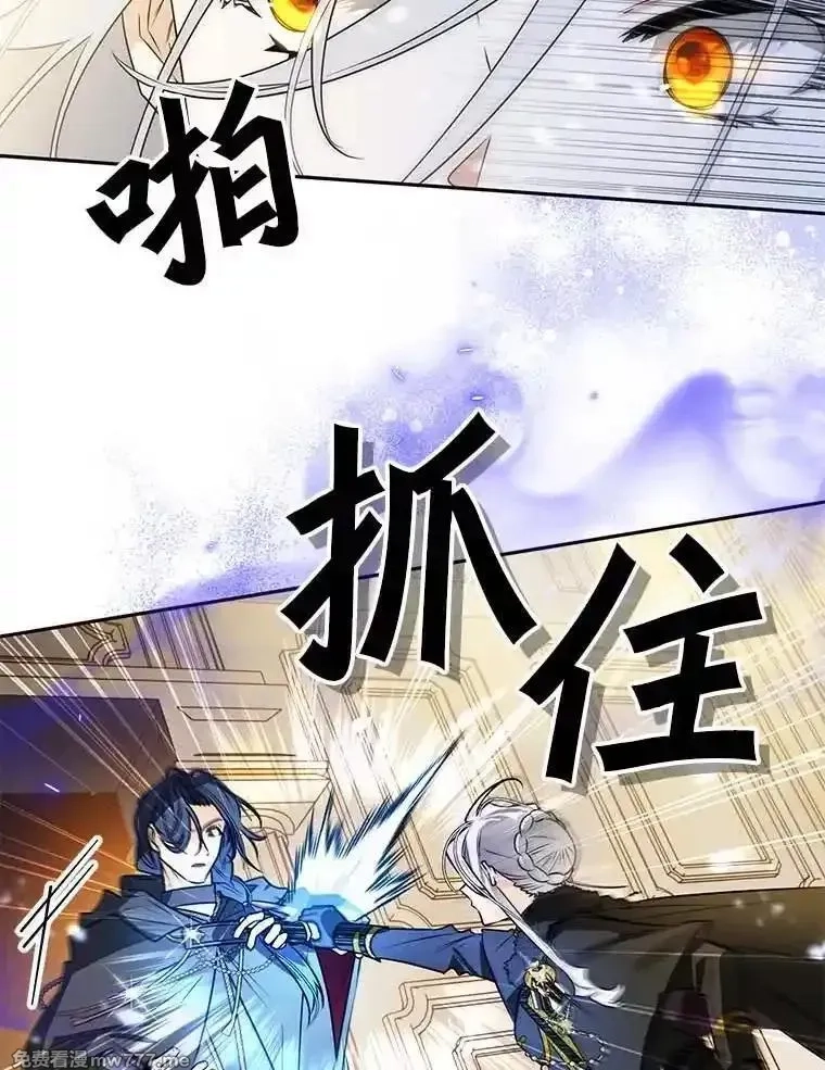 西格莉德,108.营救朋友,第64张