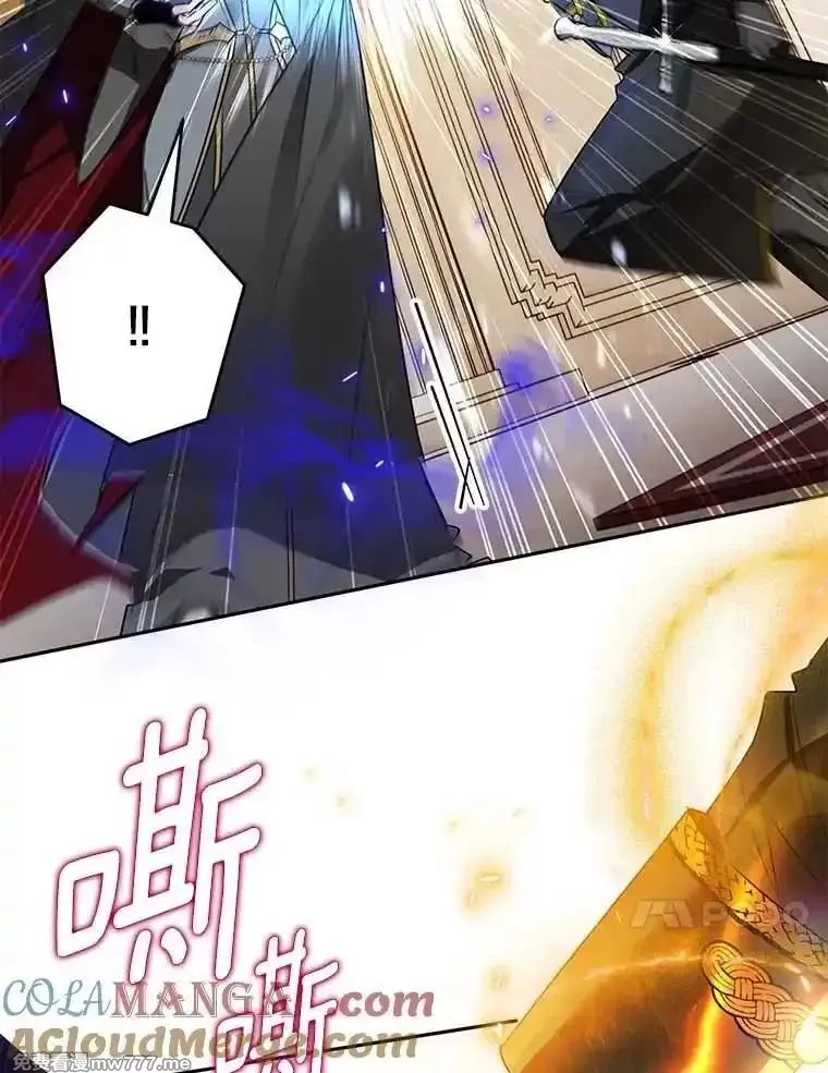 西格莉德,108.营救朋友,第65张