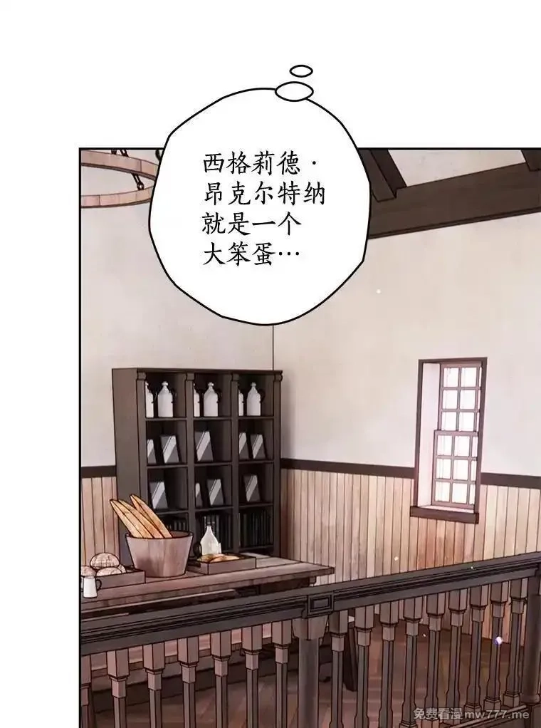 西格莉德,102.秘密通道,第32张