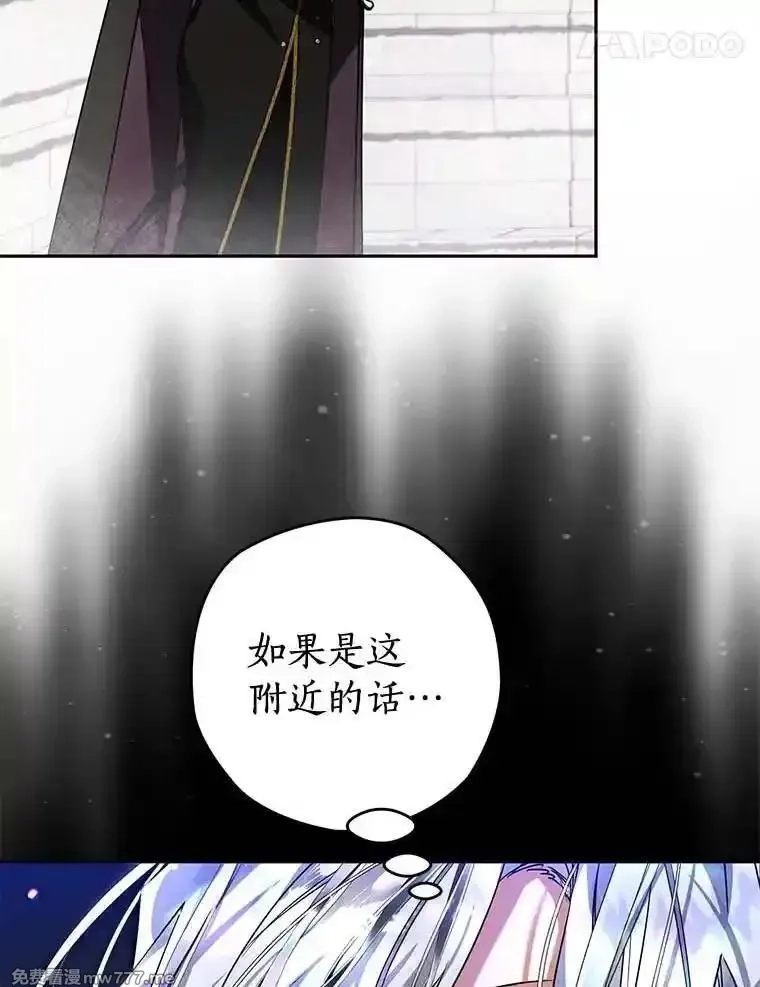 西格莉德,102.秘密通道,第44张