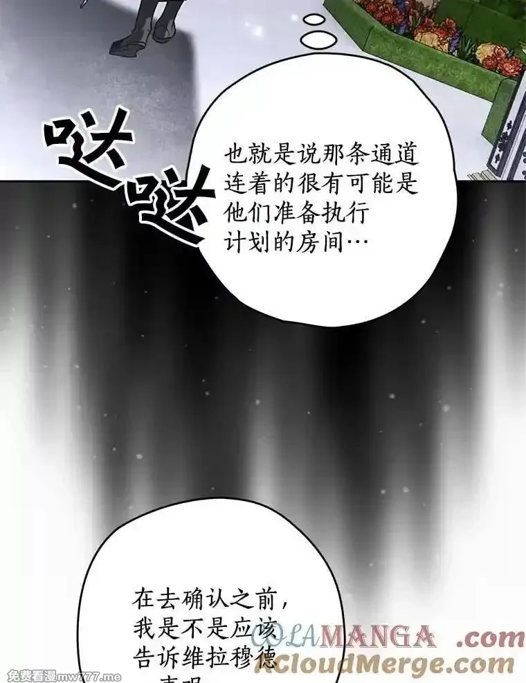 西格莉德,102.秘密通道,第49张