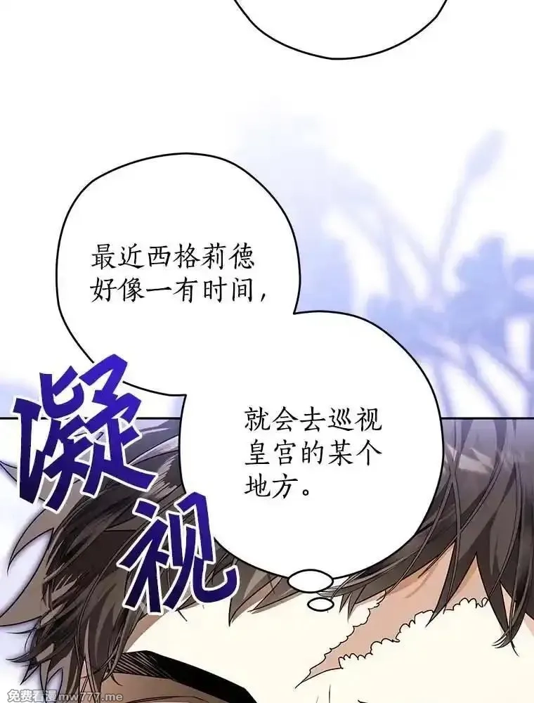 西格莉德,102.秘密通道,第94张