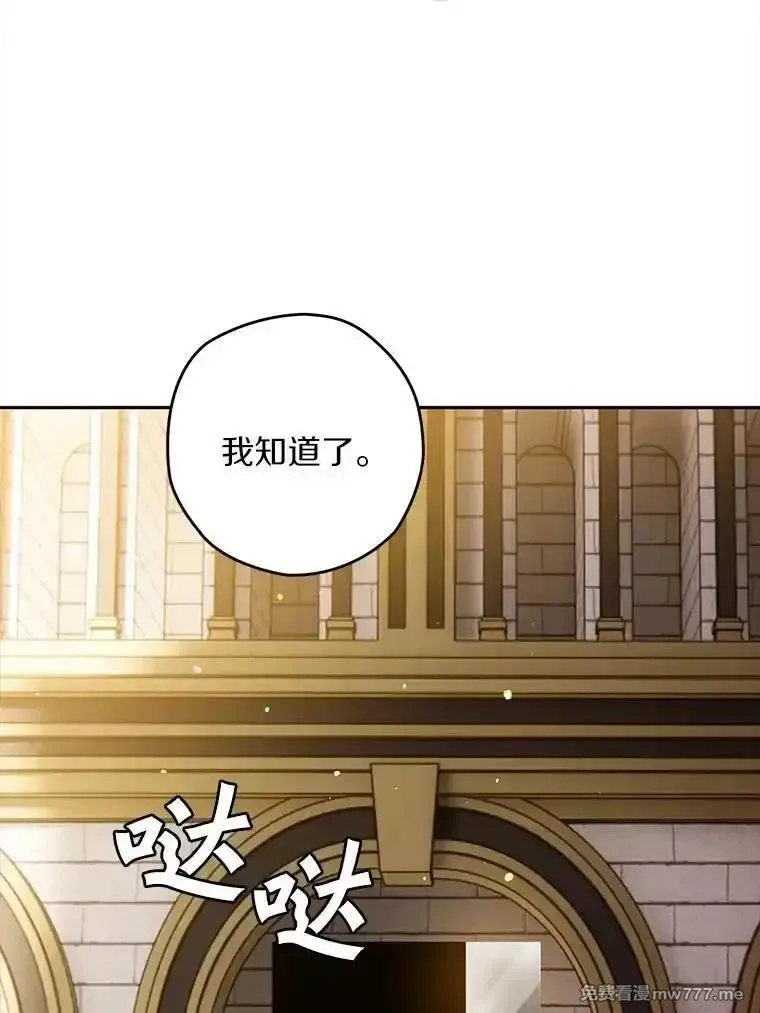 西格莉德,107.被跟踪,第104张