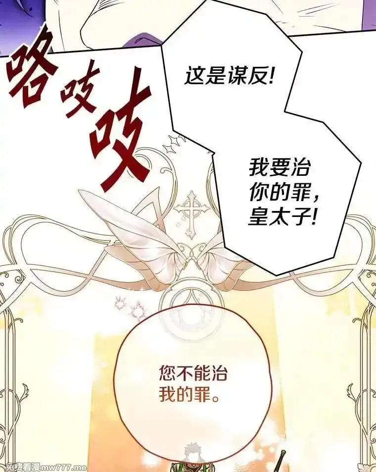 西格莉德,112.进攻中央宫殿,第100张