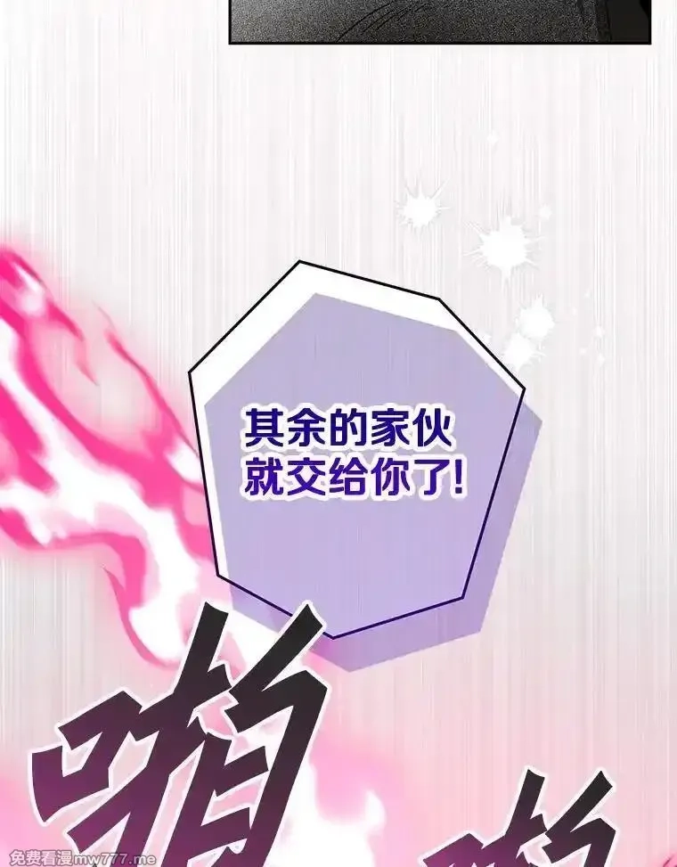 西格莉德,112.进攻中央宫殿,第29张