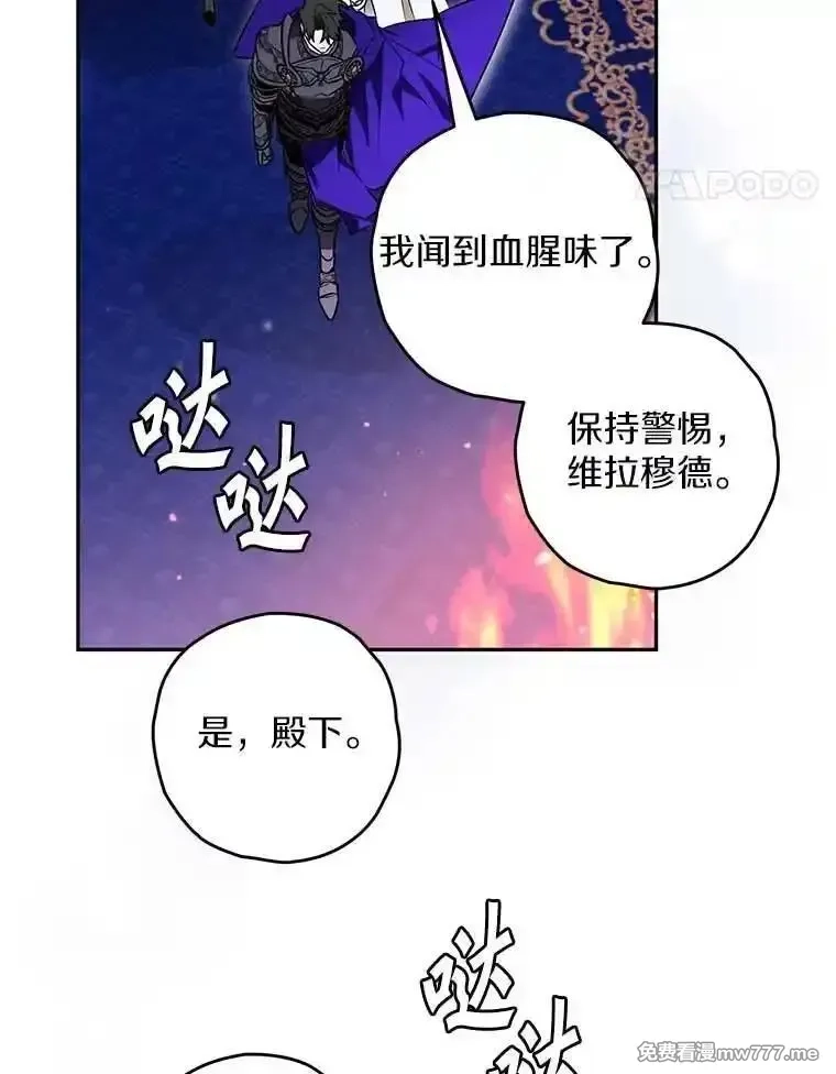 西格莉德,112.进攻中央宫殿,第83张