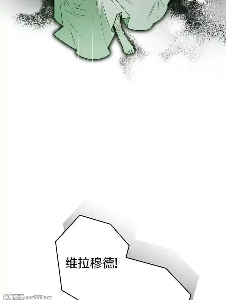 西格莉德,116.未知数,第101张