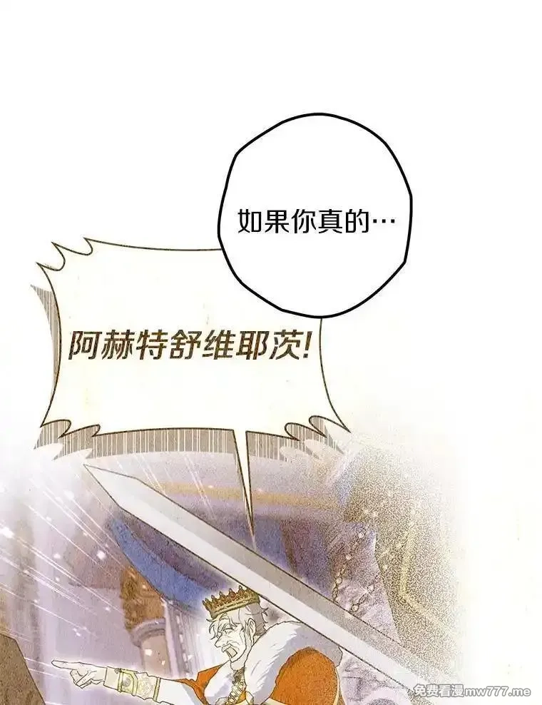 西格莉德,116.未知数,第64张