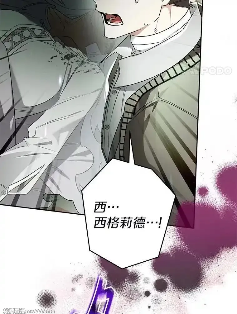 西格莉德,116.未知数,第96张