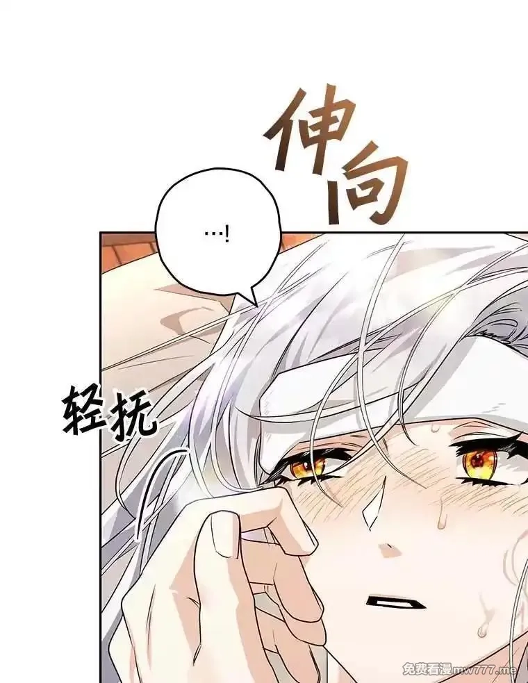 西格莉德,100.生病,第40张