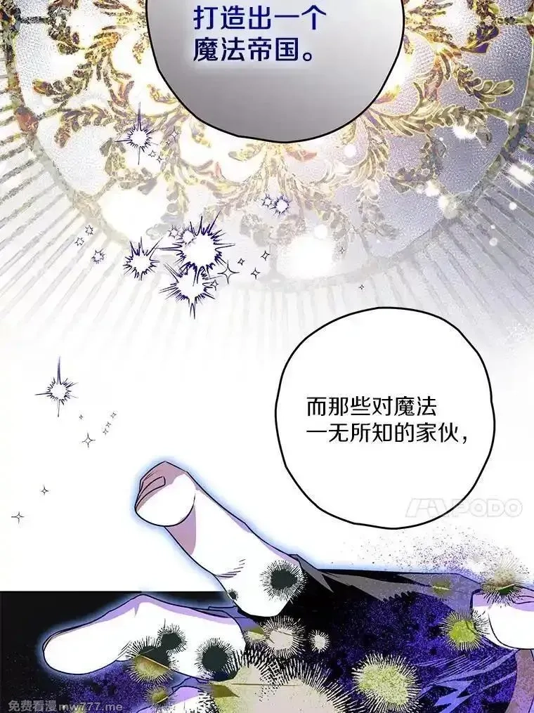 西格莉德,98.魔法师的地位,第47张