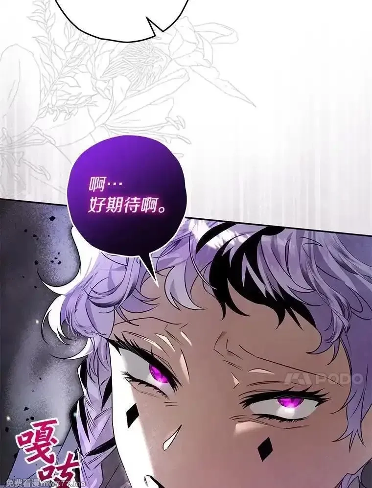 西格莉德,98.魔法师的地位,第63张
