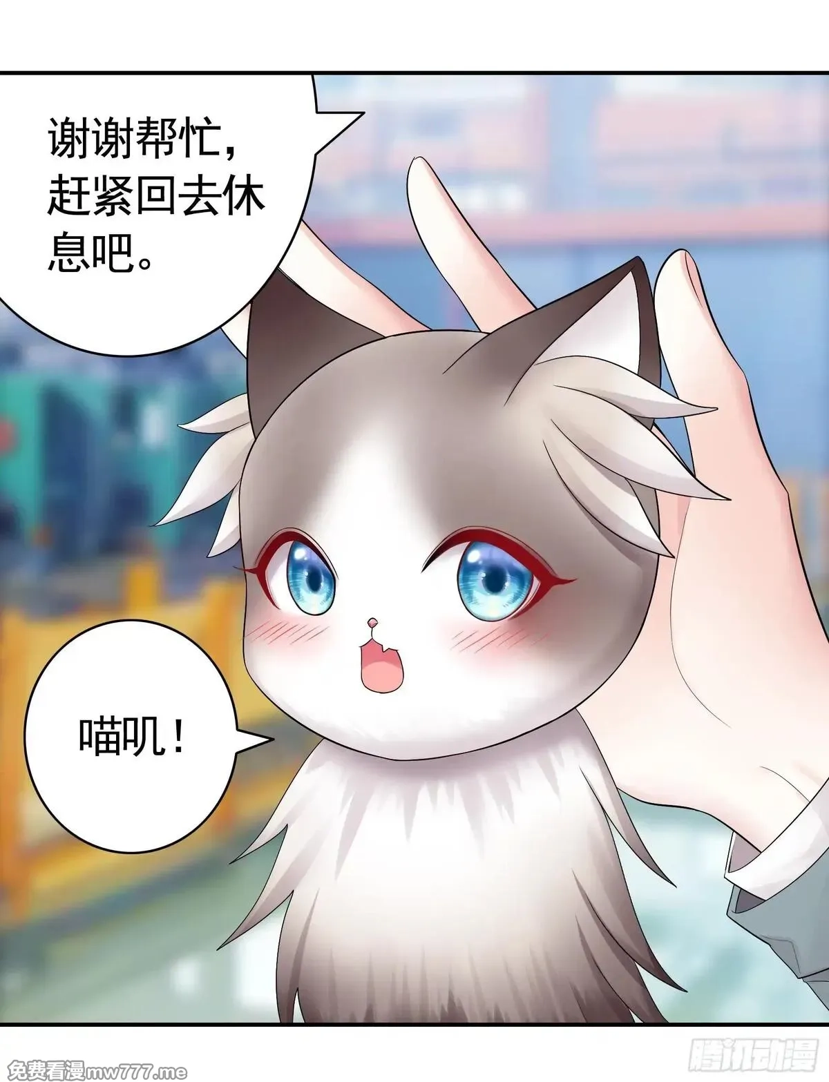 妈妈遇害后被我变成了猫娘,养料,第23张