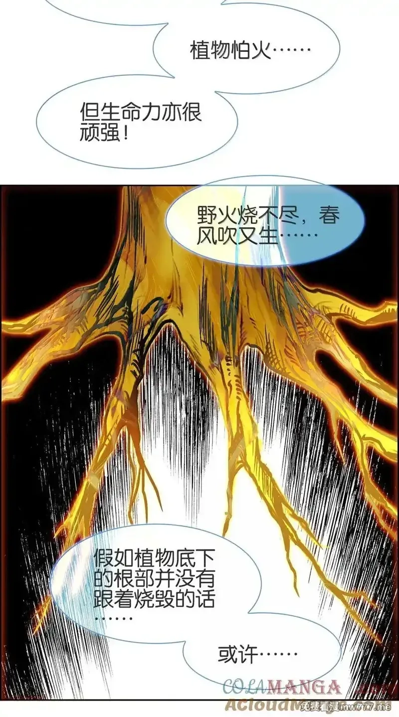 我竟是绝世高手,078 出发准备,第43张