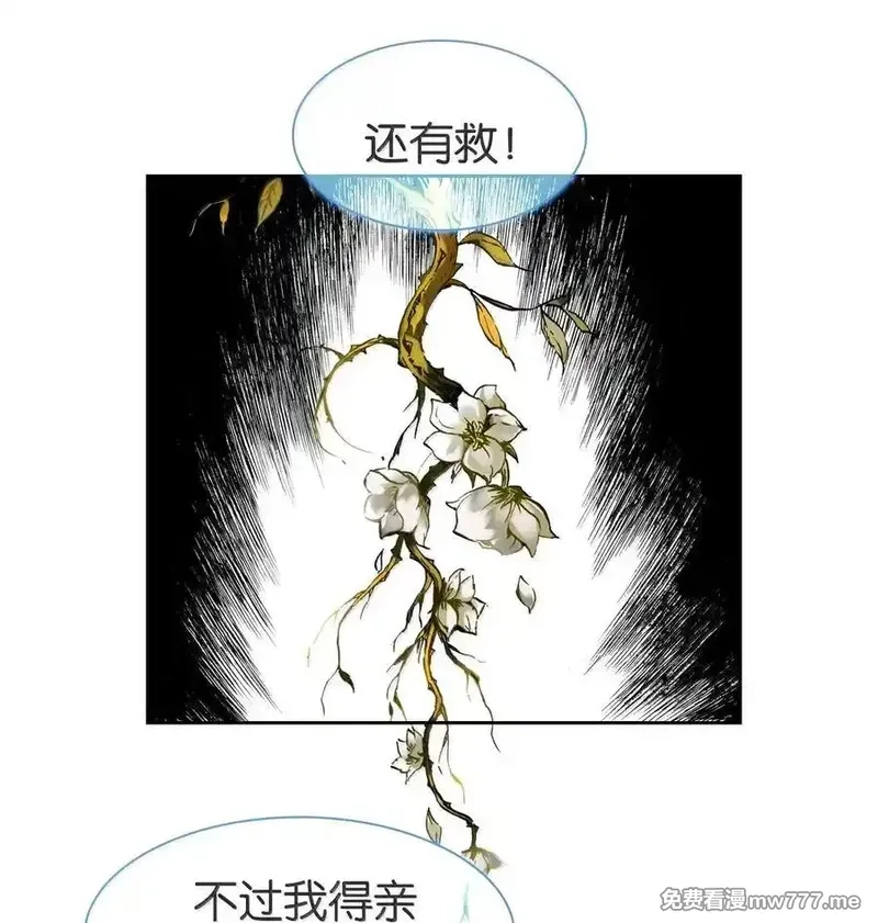 我竟是绝世高手,078 出发准备,第44张