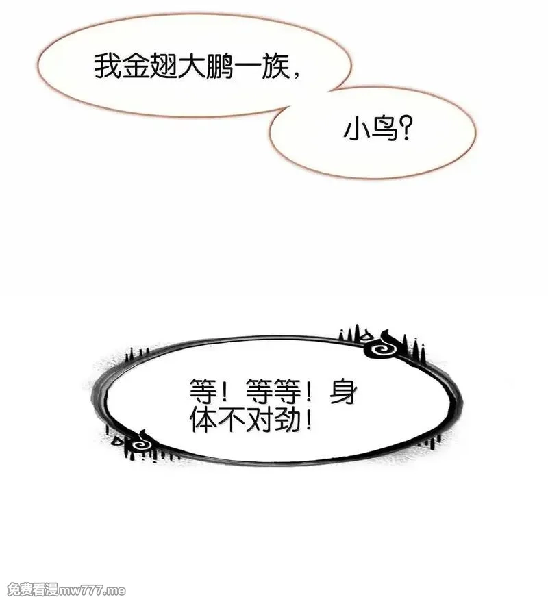 我竟是绝世高手,81 突围,第60张