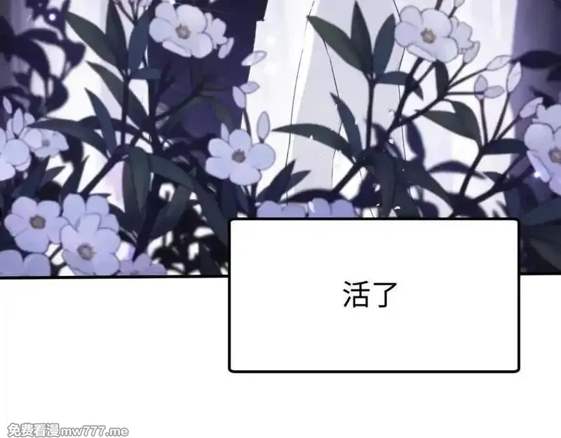 最终BOSS，应征成为玩家,第59话：再会！耀安哥,第22张