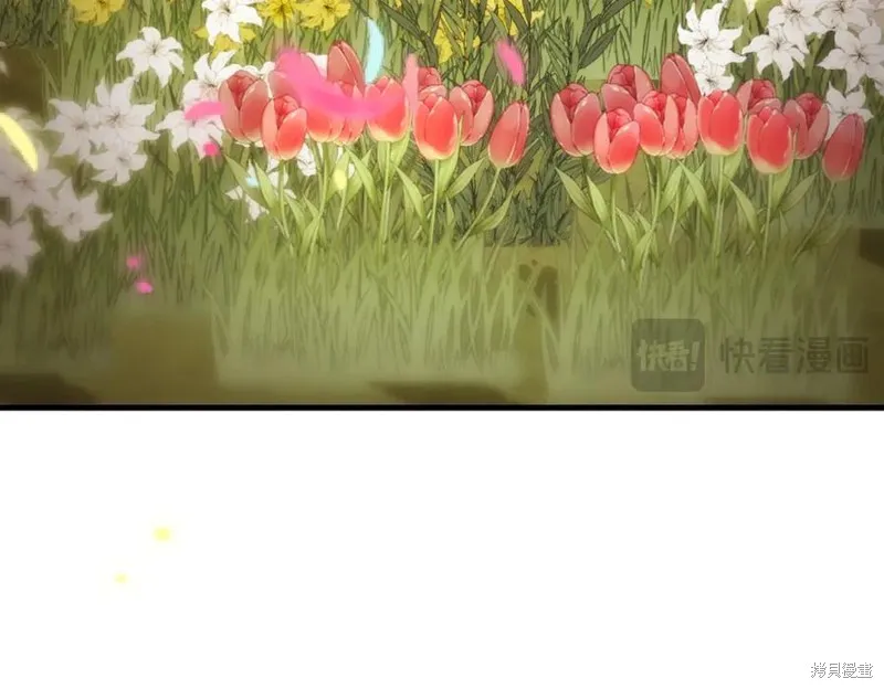 双胞胎姐姐的罢工宣言,完结篇,第44张