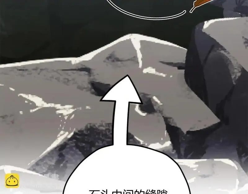 公主病也能做勇者,第78话 带他一起去吧,第209张